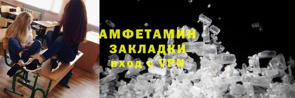 прущие грибы Нягань