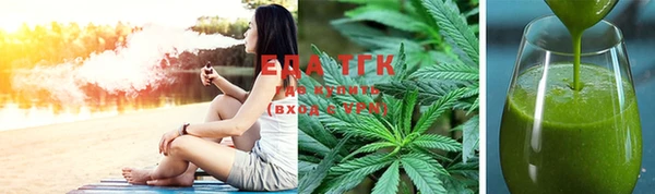 спиды Ельня