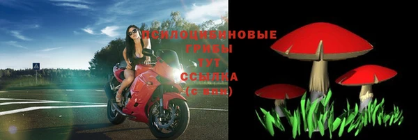 амф Нязепетровск