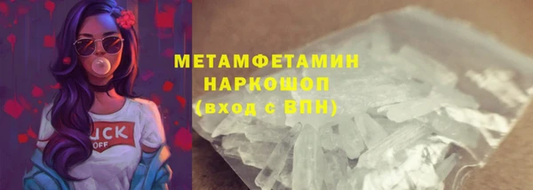 прущие грибы Нягань
