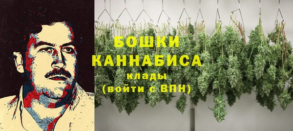 амф Нязепетровск