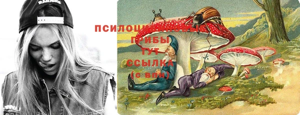 кокс Няндома