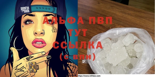 прущие грибы Нягань