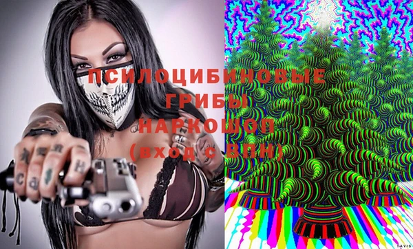 прущие грибы Нягань