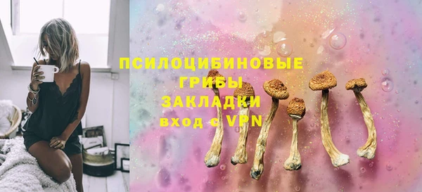 прущие грибы Нягань