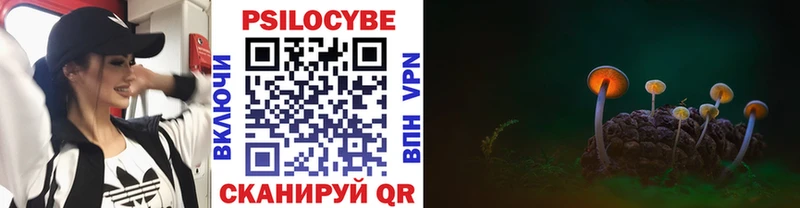 Галлюциногенные грибы прущие грибы  Светогорск 